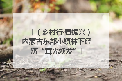 （乡村行·看振兴）内蒙古东部小镇林下经济“茸光焕发”