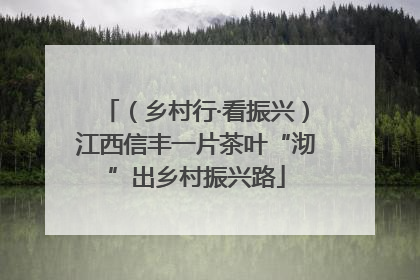（乡村行·看振兴）江西信丰一片茶叶“沏”出乡村振兴路