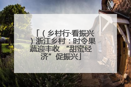 （乡村行·看振兴）浙江乡村：时令果蔬迎丰收 “甜蜜经济”促振兴