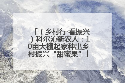 （乡村行·看振兴）科尔沁新农人：10亩大棚起家种出乡村振兴“甜蜜果”