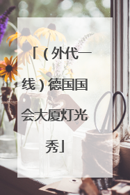 （外代一线）德国国会大厦灯光秀