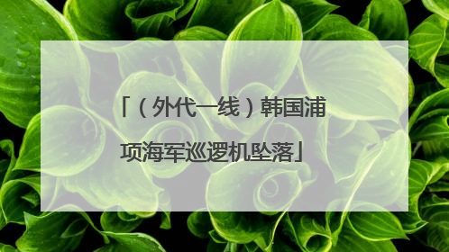 （外代一线）韩国浦项海军巡逻机坠落