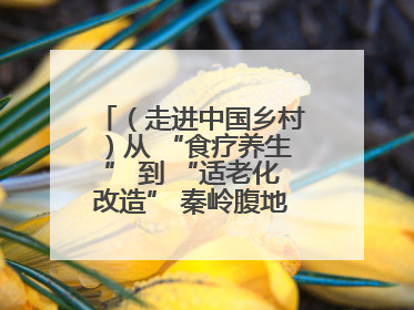 （走进中国乡村）从 “食疗养生” 到 “适老化改造” 秦岭腹地成康养“福地”