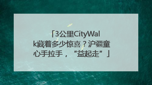 3公里CityWalk藏着多少惊喜？沪疆童心手拉手，“益起走”