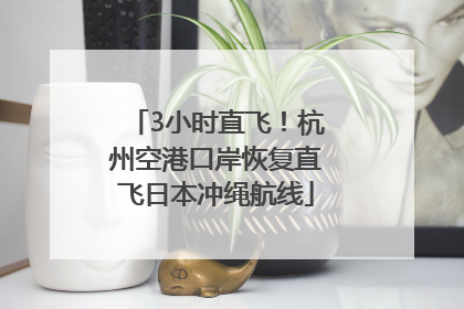 3小时直飞！杭州空港口岸恢复直飞日本冲绳航线