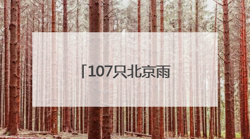 107只北京雨燕在颐和园完成年度“体检”