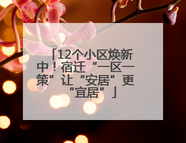 12个小区焕新中！宿迁“一区一策”让“安居”更“宜居”