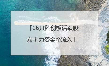 16只科创板活跃股获主力资金净流入