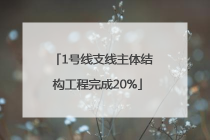 1号线支线主体结构工程完成20%
