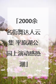 2000余名街舞达人云集 平原湖公园上演动感热潮