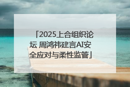 2025上合组织论坛 周鸿祎建言AI安全应对与柔性监管