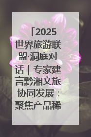 2025世界旅游联盟·洞庭对话｜专家建言黔湘文旅协同发展：聚焦产品稀缺性 深化区域经验共享