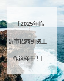 2025年临沂市招商引资工作这样干！