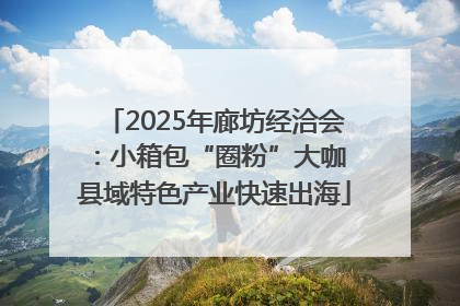 2025年廊坊经洽会：小箱包“圈粉”大咖 县域特色产业快速出海