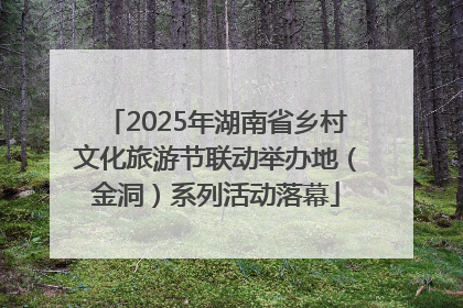 2025年湖南省乡村文化旅游节联动举办地（金洞）系列活动落幕