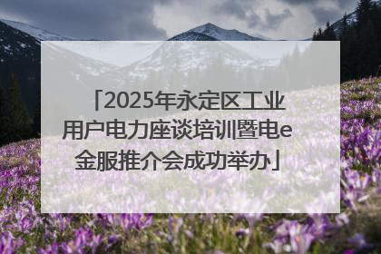 2025年永定区工业用户电力座谈培训暨电e金服推介会成功举办