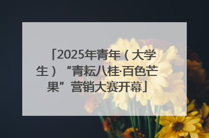 2025年青年（大学生）“青耘八桂·百色芒果”营销大赛开幕