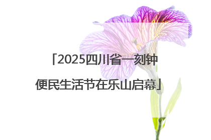 2025四川省一刻钟便民生活节在乐山启幕