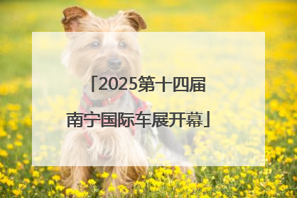 2025第十四届南宁国际车展开幕