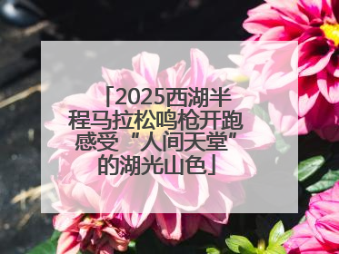 2025西湖半程马拉松鸣枪开跑感受“人间天堂”的湖光山色
