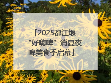 2025都江堰“好嗨啤”消夏夜啤美食季启幕