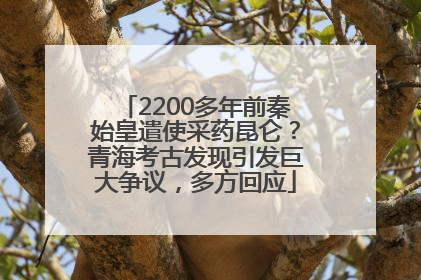 2200多年前秦始皇遣使采药昆仑？青海考古发现引发巨大争议，多方回应