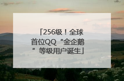 256级！全球首位QQ“金企鹅”等级用户诞生
