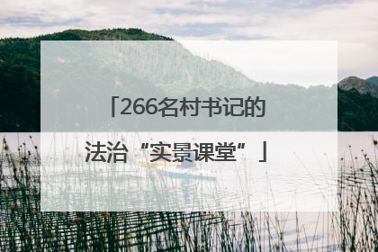266名村书记的法治“实景课堂”