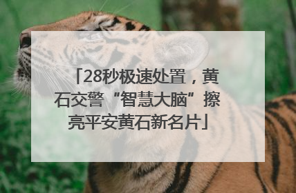 28秒极速处置，黄石交警“智慧大脑”擦亮平安黄石新名片