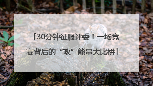 30分钟征服评委！一场竞赛背后的“政”能量大比拼