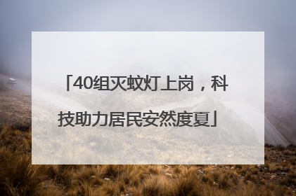40组灭蚊灯上岗，科技助力居民安然度夏