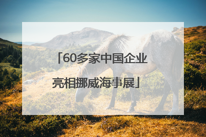 60多家中国企业亮相挪威海事展