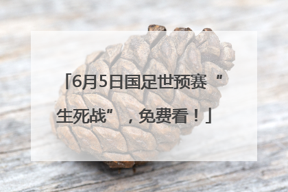 6月5日国足世预赛“生死战”，免费看！