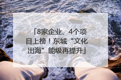 8家企业、4个项目上榜！东城“文化出海”能级再提升