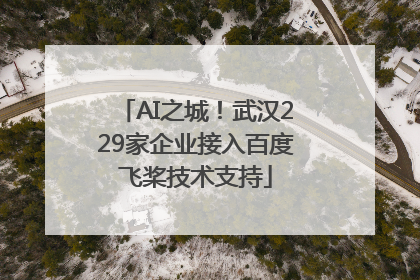 AI之城！武汉229家企业接入百度飞桨技术支持