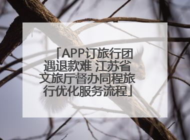 APP订旅行团遇退款难 江苏省文旅厅督办同程旅行优化服务流程
