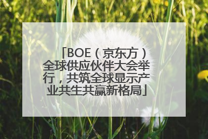 BOE（京东方）全球供应伙伴大会举行，共筑全球显示产业共生共赢新格局