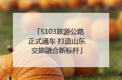 S103旅游公路正式通车 打造山东交旅融合新标杆