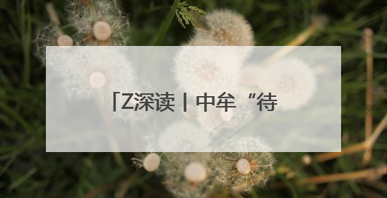 Z深读丨中牟“待遇”变了！郑州市出台若干措施全力支持中牟新区建设